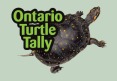turtle-tally-logo_cropped_green_bg